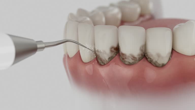 Reliable Dental contractor in Williamsport, MD by Dentist Open Now